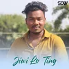 About Jiwi Lo Ting Song